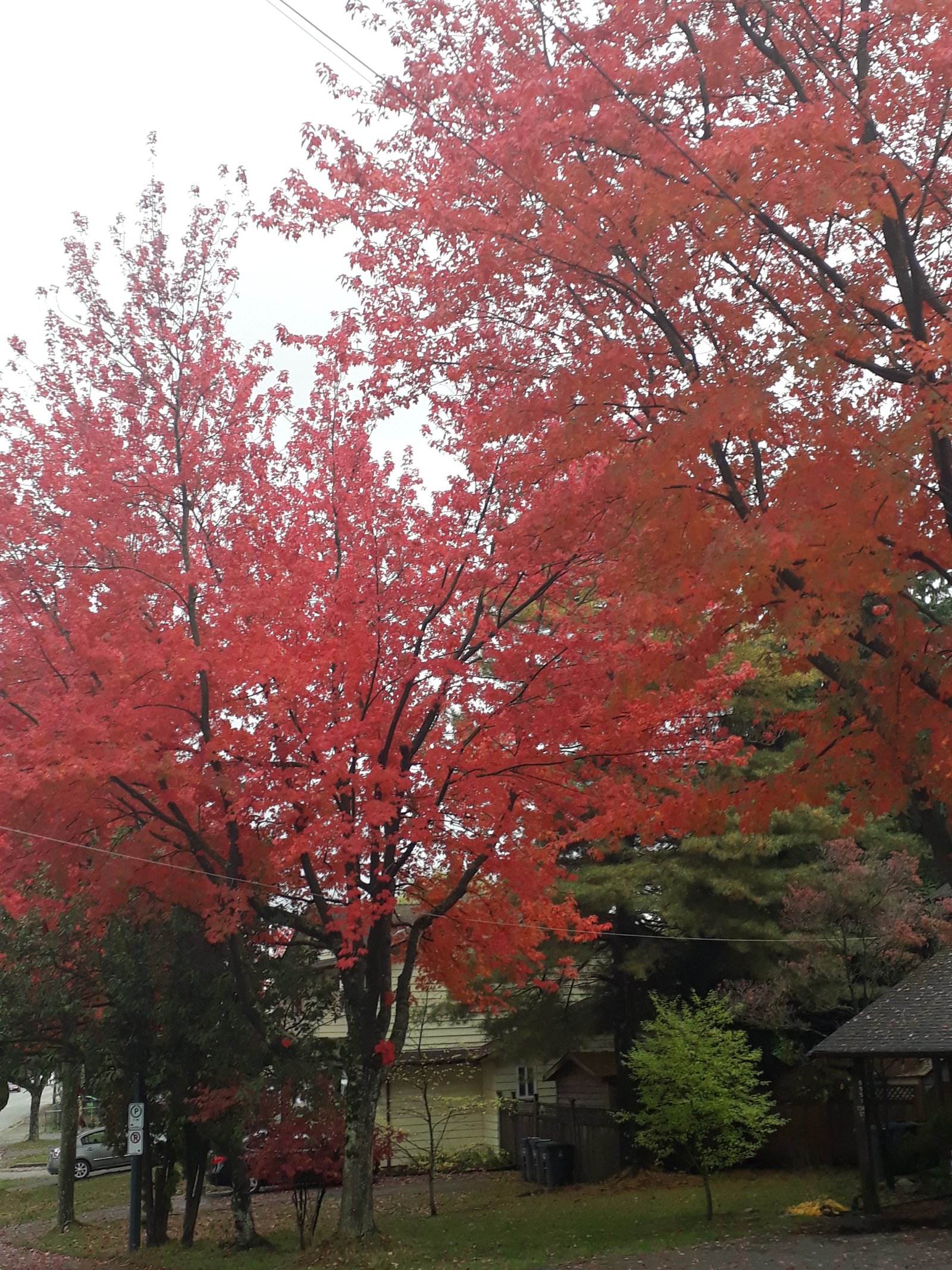 20171020_135735