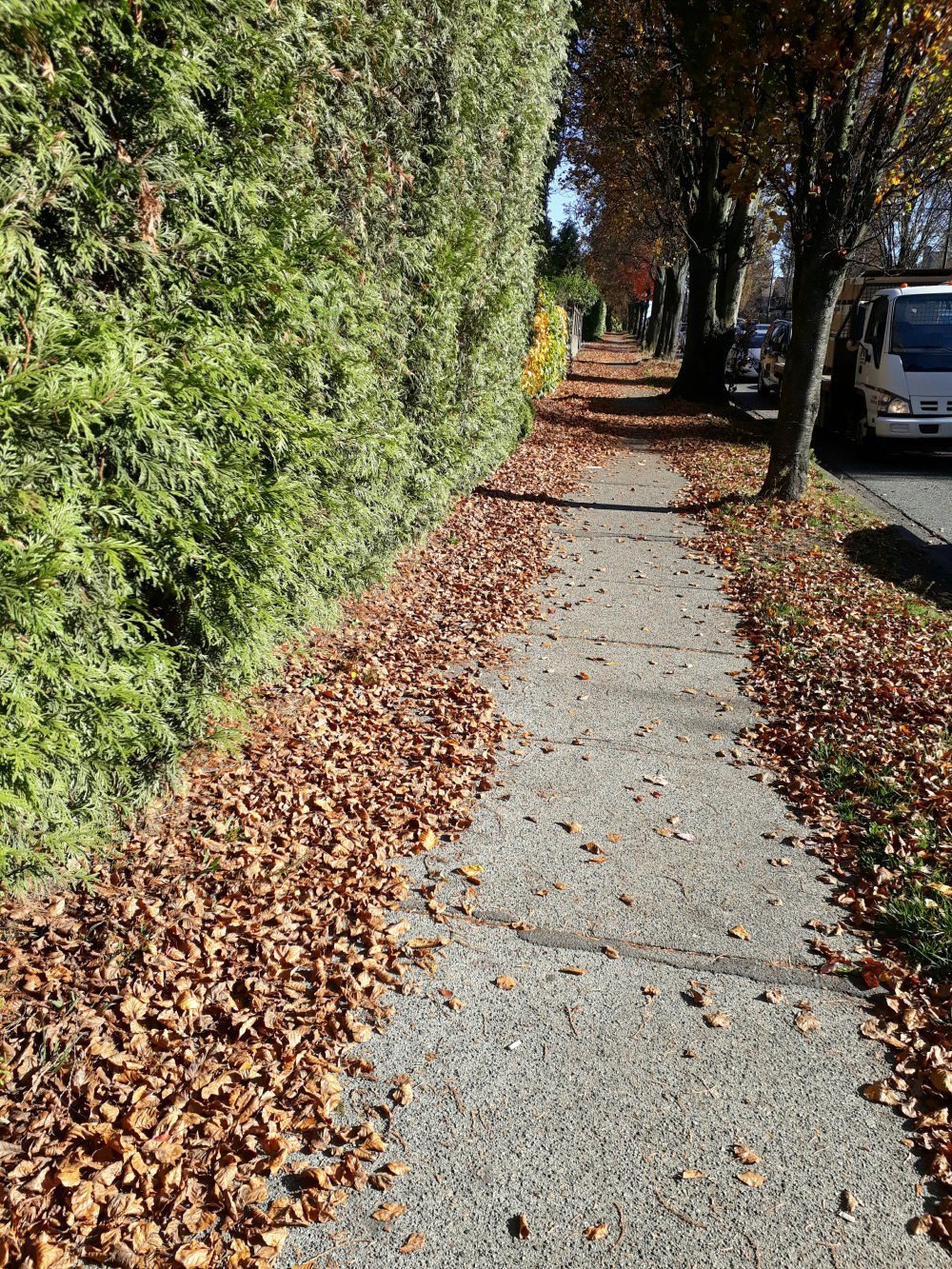 20171027_130048585920240.jpg