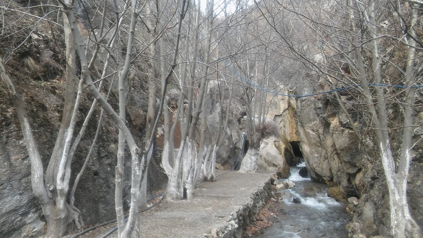 20170305_121051.jpg