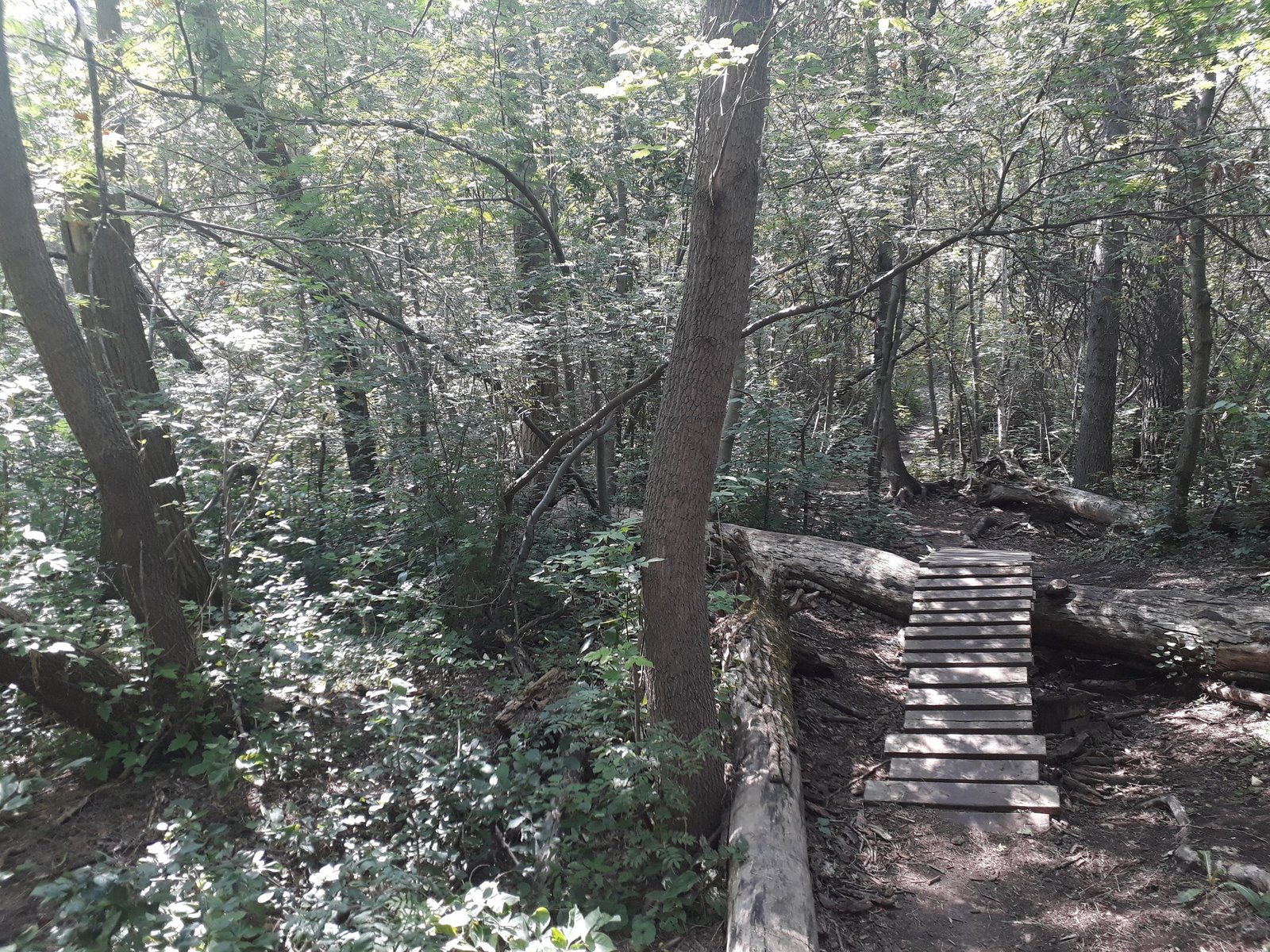 20180729_1533061739230849.jpg