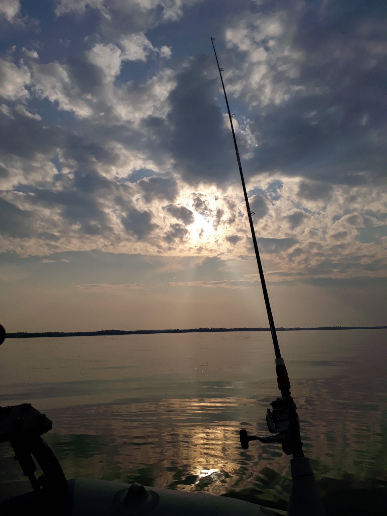 20180902_1832371033057917.jpg