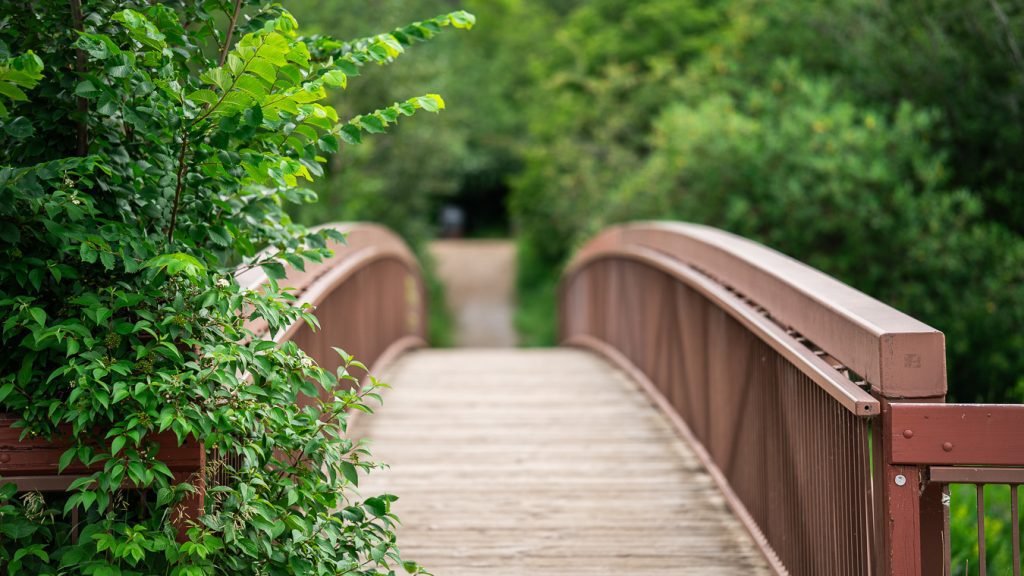 Whitemud park